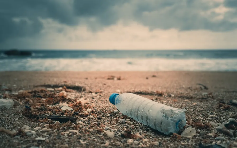 Single-Use Plastic Restrictions Around the World