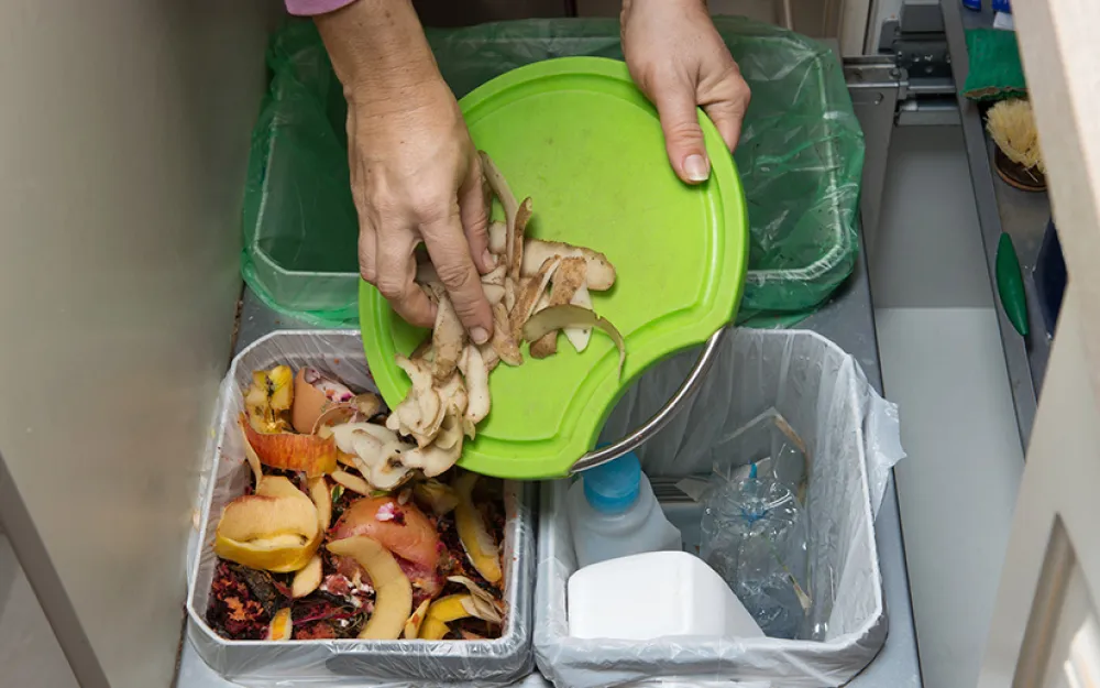 Is the UK’s Food Waste Problem Getting Worse?