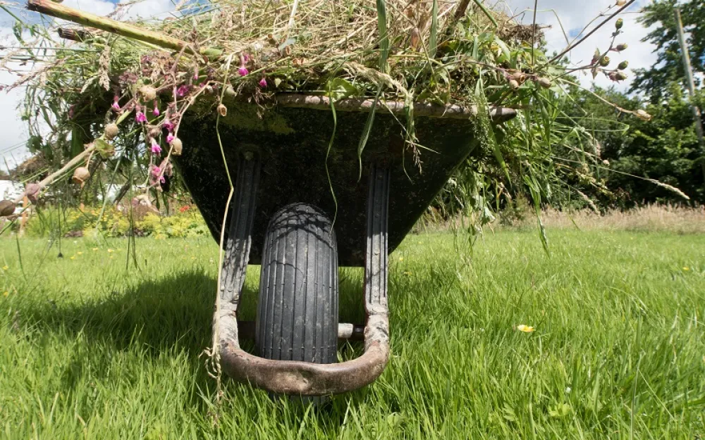 What Can You Put in a Garden Waste Only Skip?